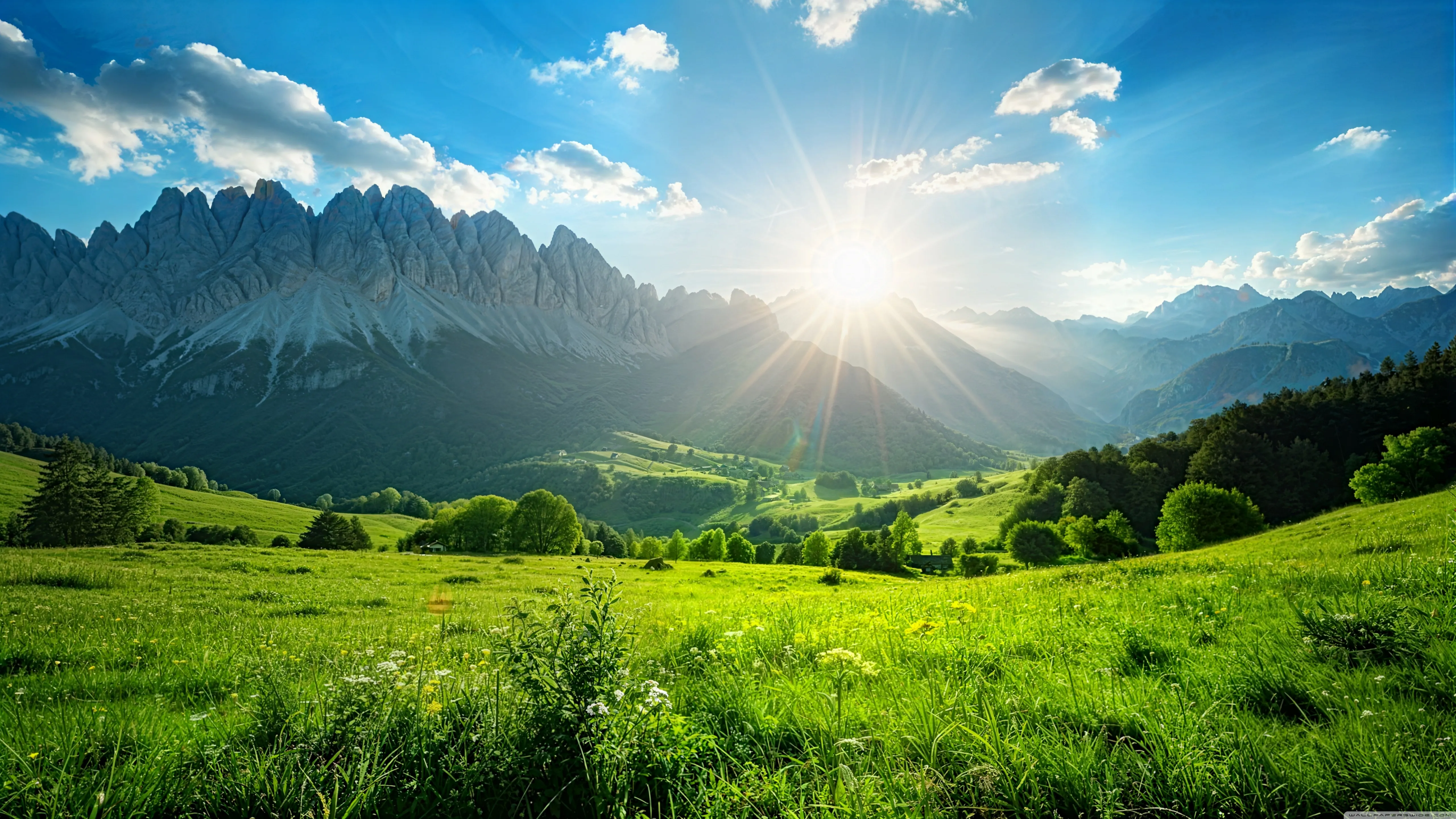 Sun-Drenched Dolomite Valley