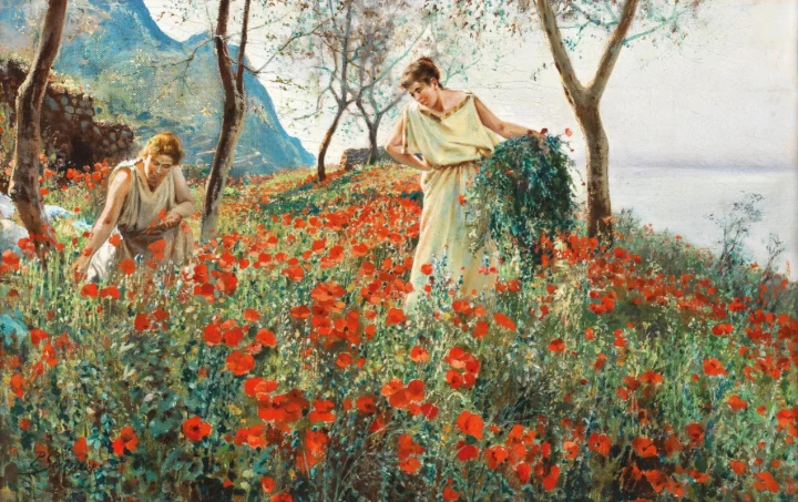 The Poppy Harvest