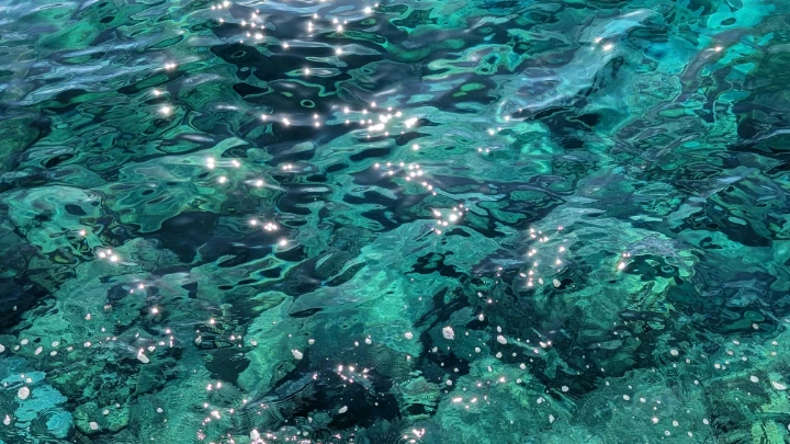 Emerald Coastal Reflection