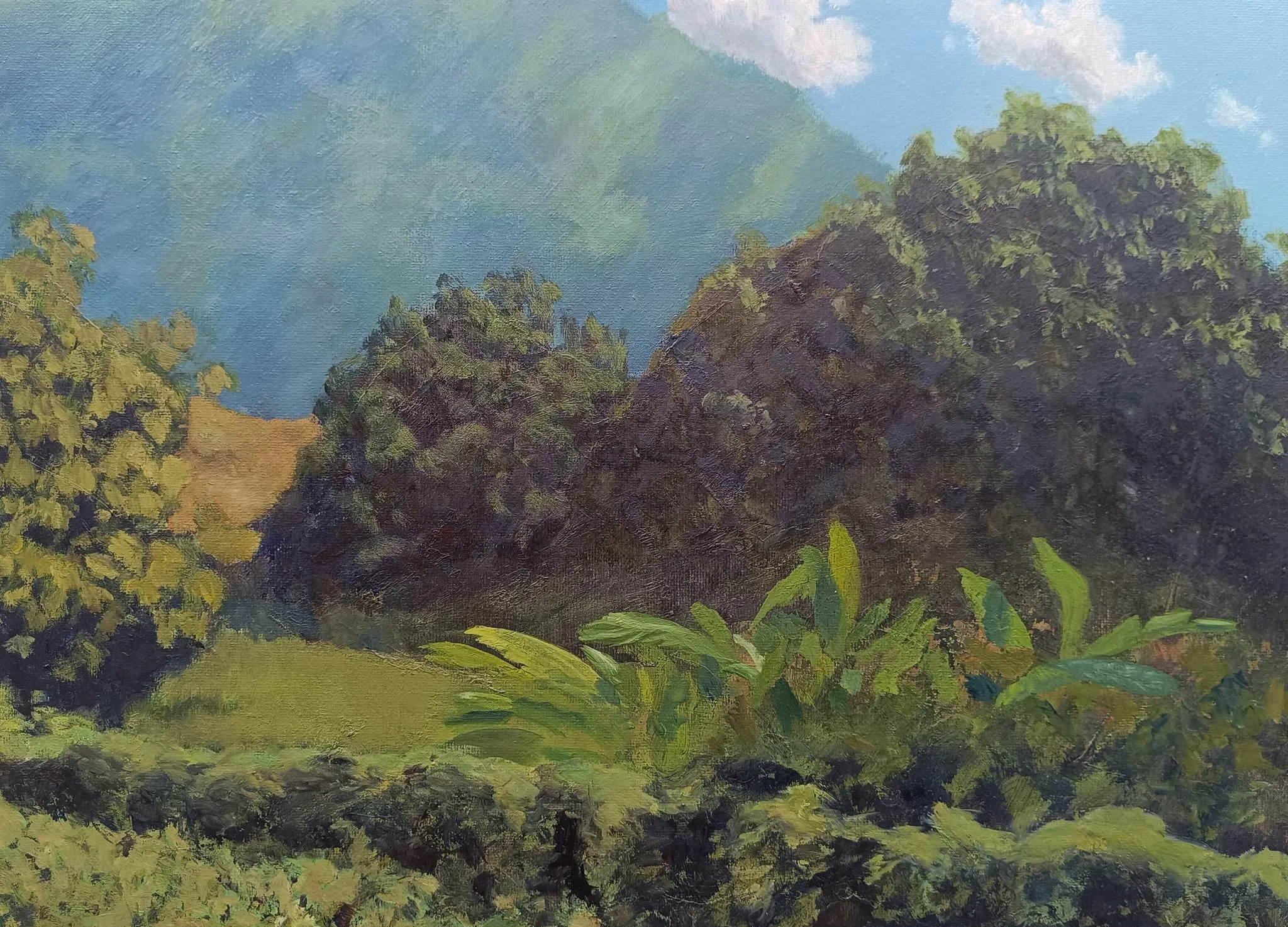 Verdant Valley Study